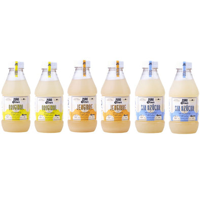 6-PACK MIX (6 Botellas de Pisco Sour a Elección)