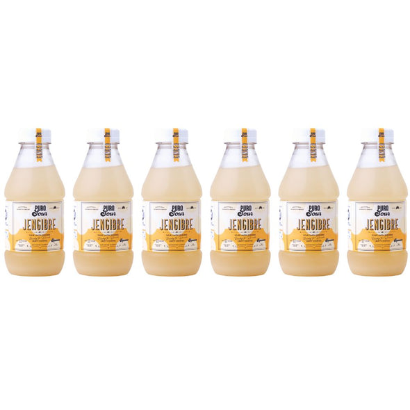 6-PACK GINGER (6 Botellas de Pisco Sour + Jengibre)