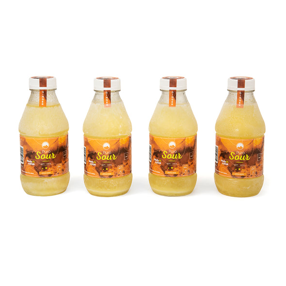 4-PACK GINGER (4 Botellas de Pisco Sour + Jengibre)