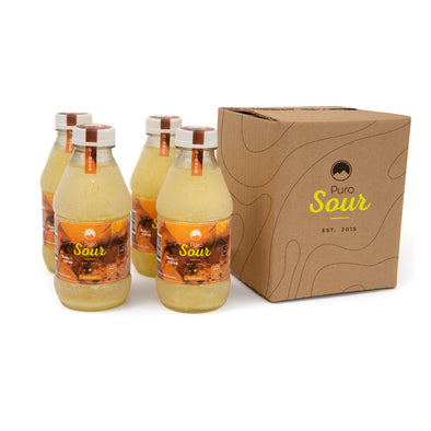 4-PACK GINGER (4 Botellas de Pisco Sour + Jengibre)