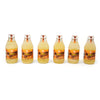 6-PACK GINGER (6 Botellas de Pisco Sour + Jengibre)