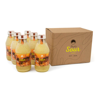 6-PACK GINGER (6 Botellas de Pisco Sour + Jengibre)